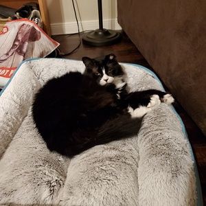 Meet your Posher, Yolanda